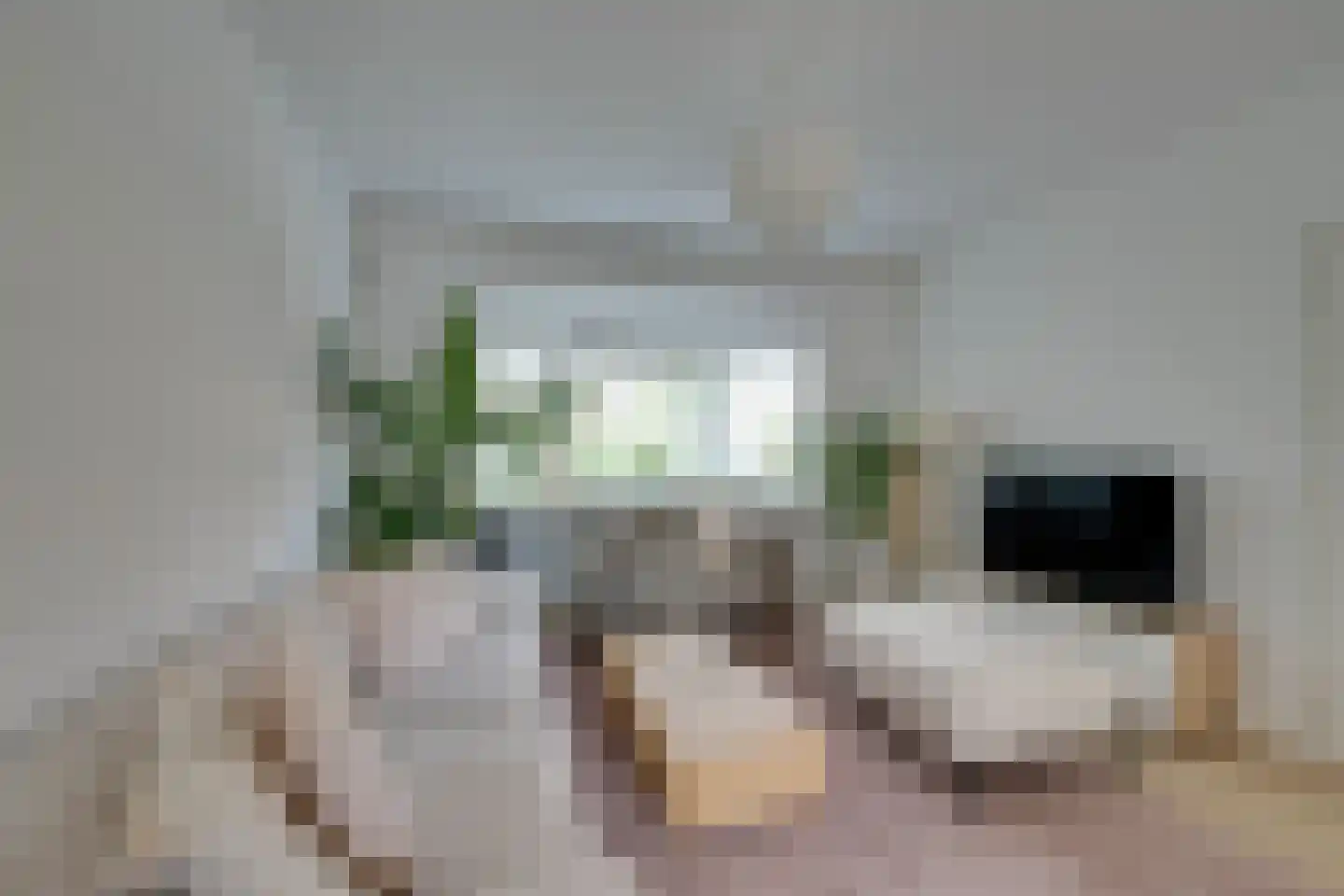 Jonkerlaantje 24 Edam thumbnail 13