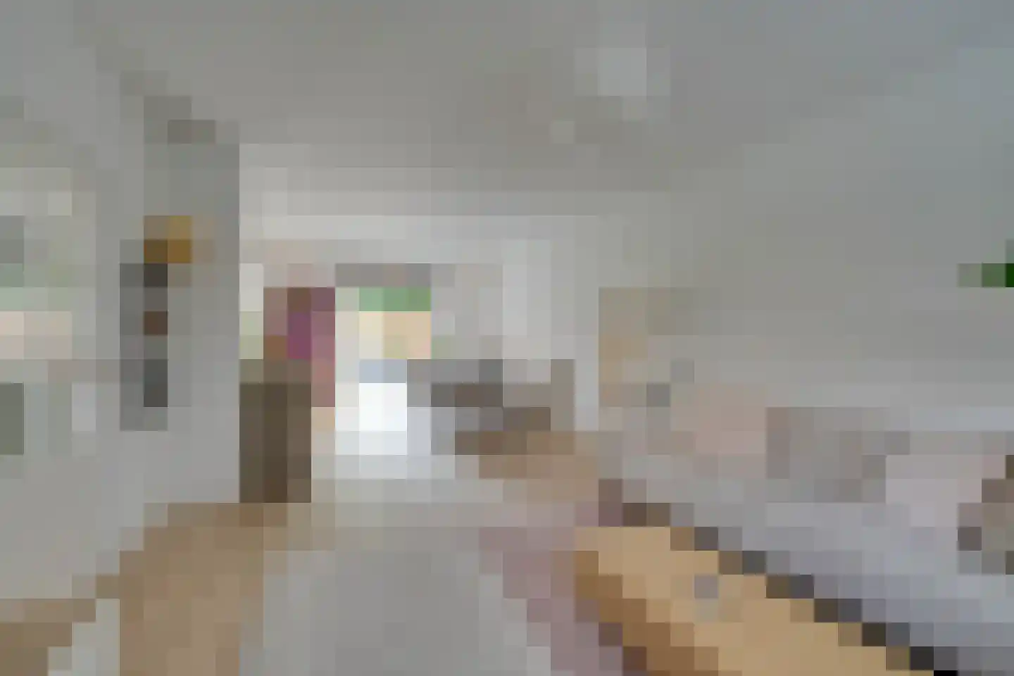 Jonkerlaantje 24 Edam thumbnail 14