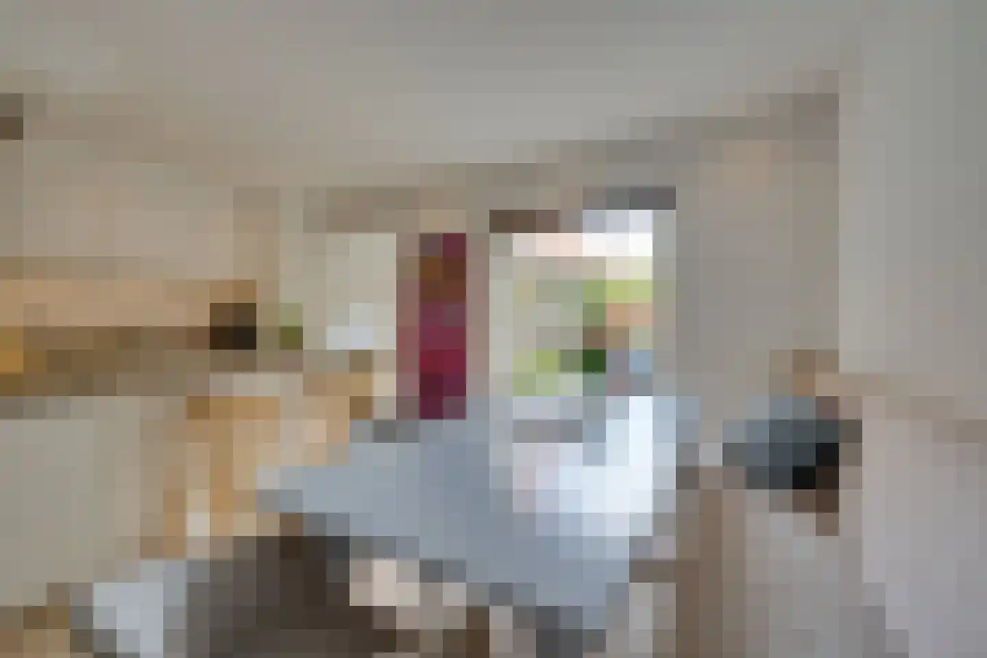 Jonkerlaantje 24 Edam thumbnail 18