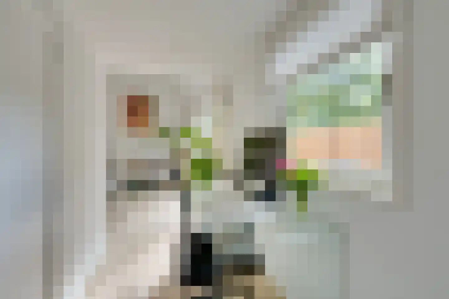 Jonkerlaantje 24 Edam thumbnail 29