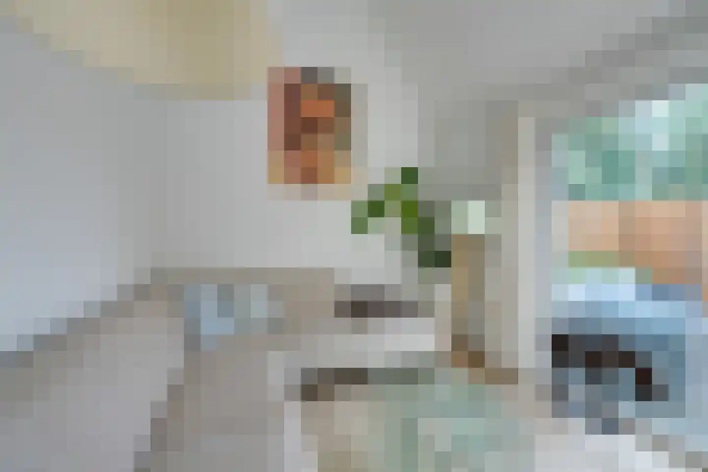 Jonkerlaantje 24 Edam thumbnail 33