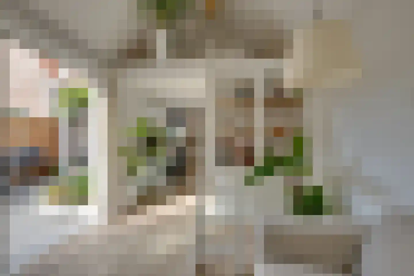 Jonkerlaantje 24 Edam thumbnail 34