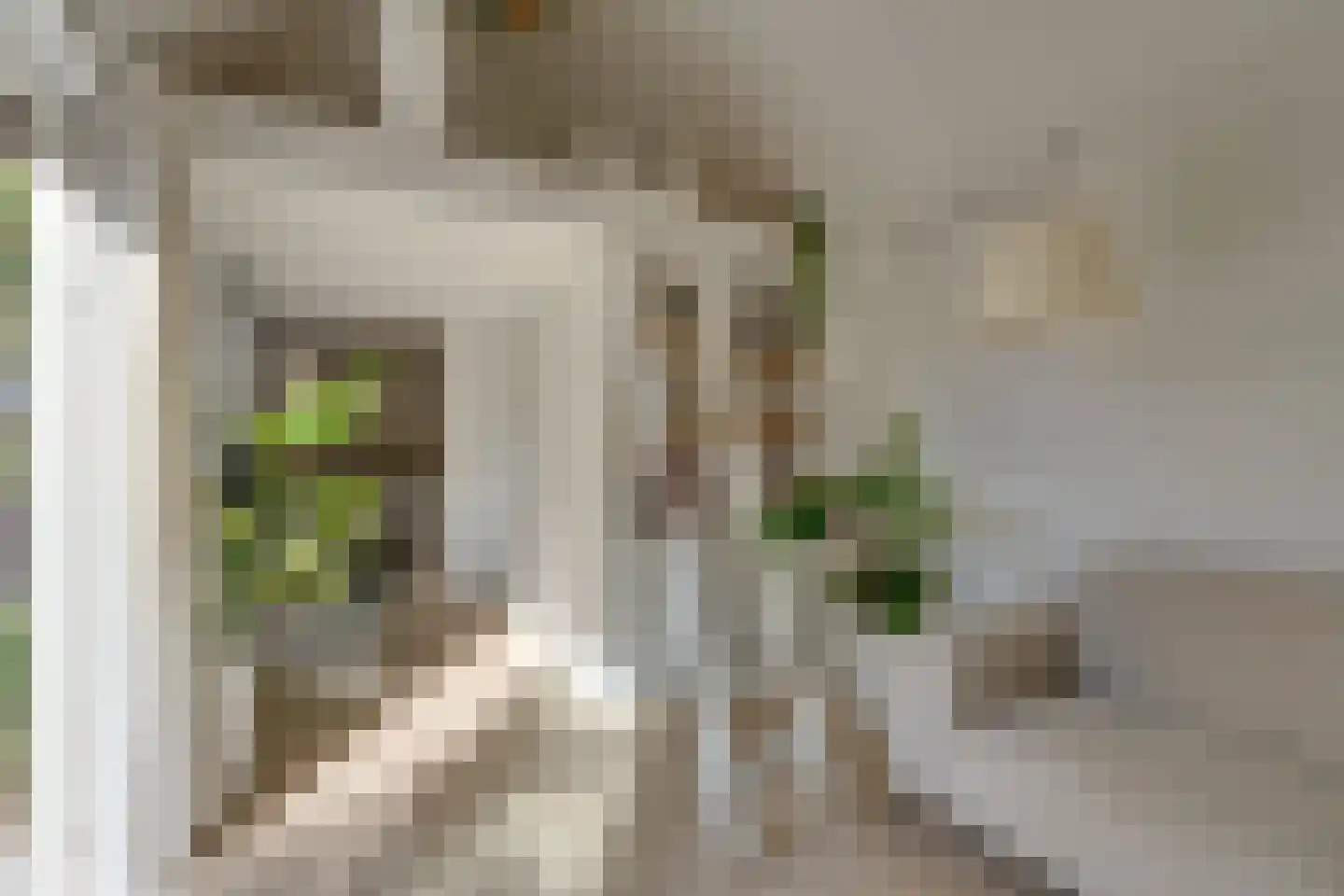 Jonkerlaantje 24 Edam thumbnail 35