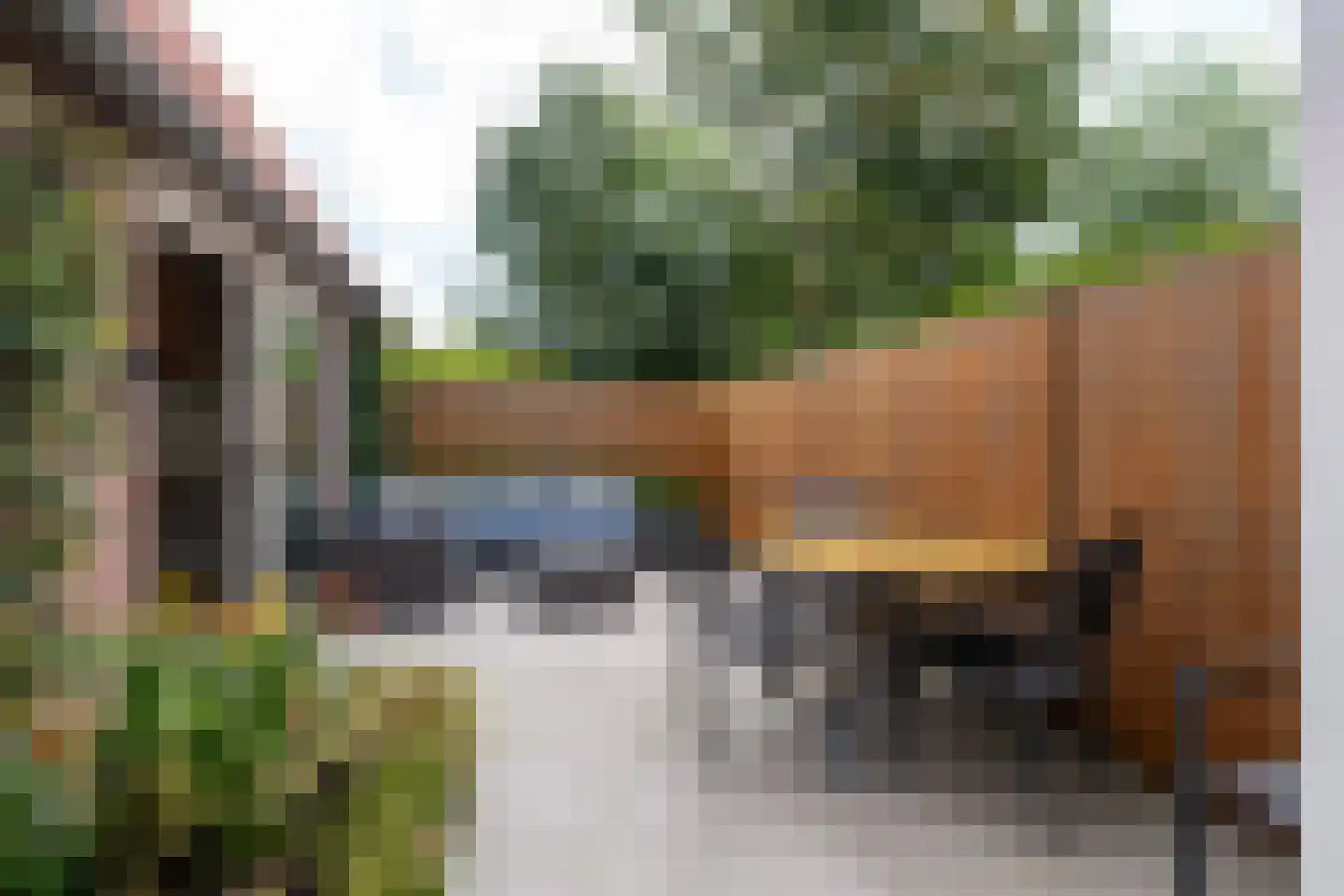 Jonkerlaantje 24 Edam thumbnail 4