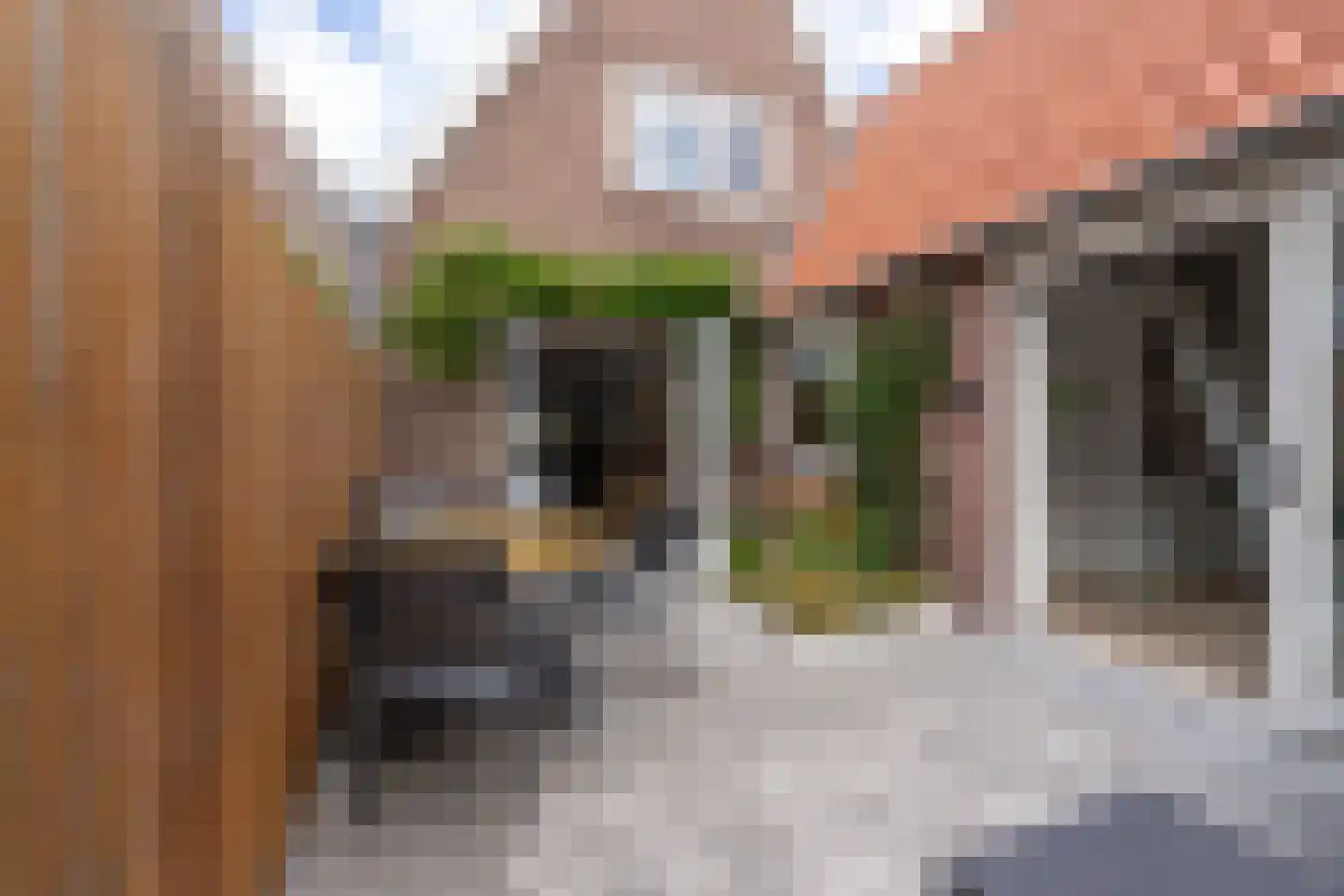 Jonkerlaantje 24 Edam thumbnail 41
