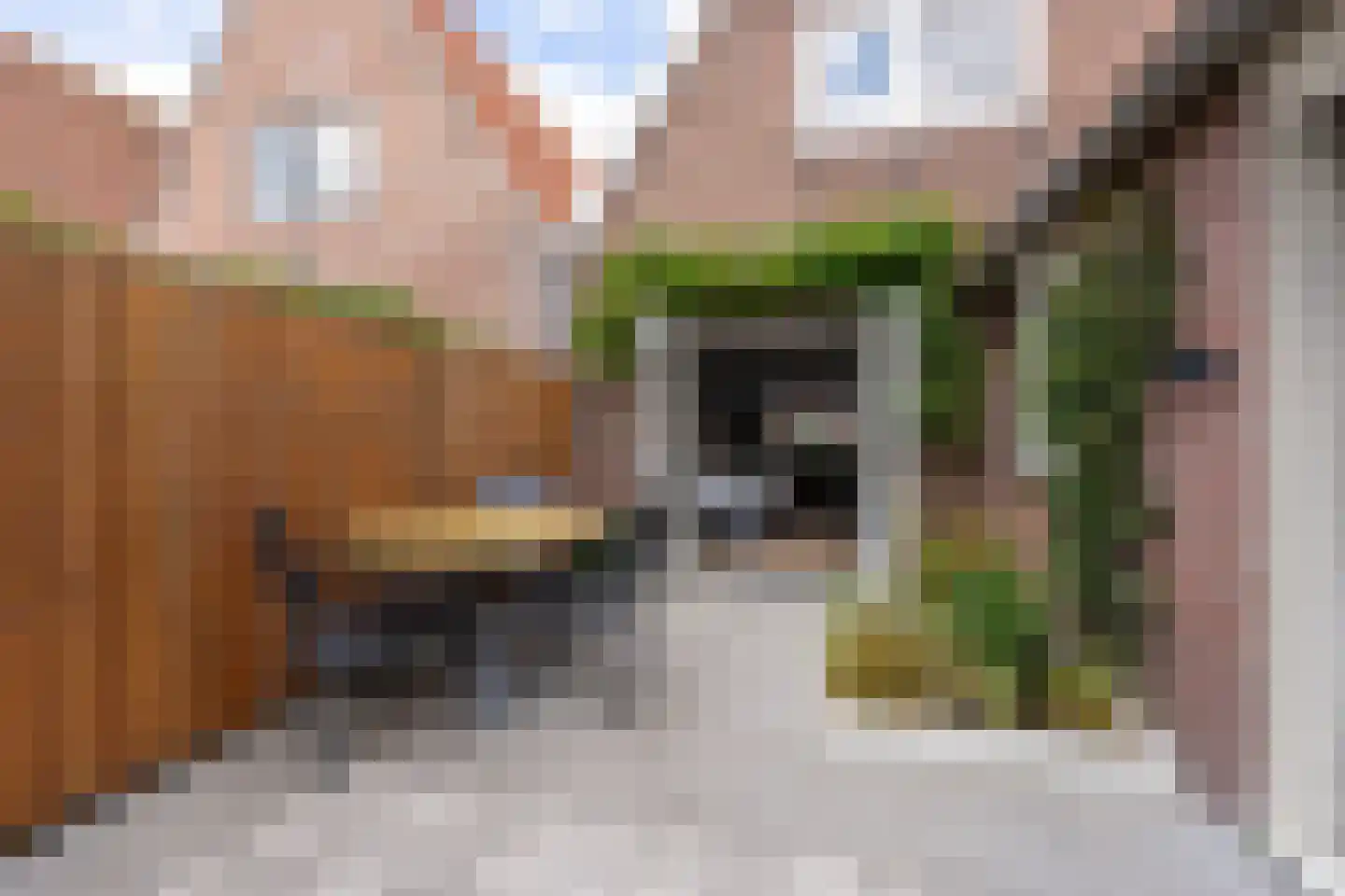 Jonkerlaantje 24 Edam thumbnail 42