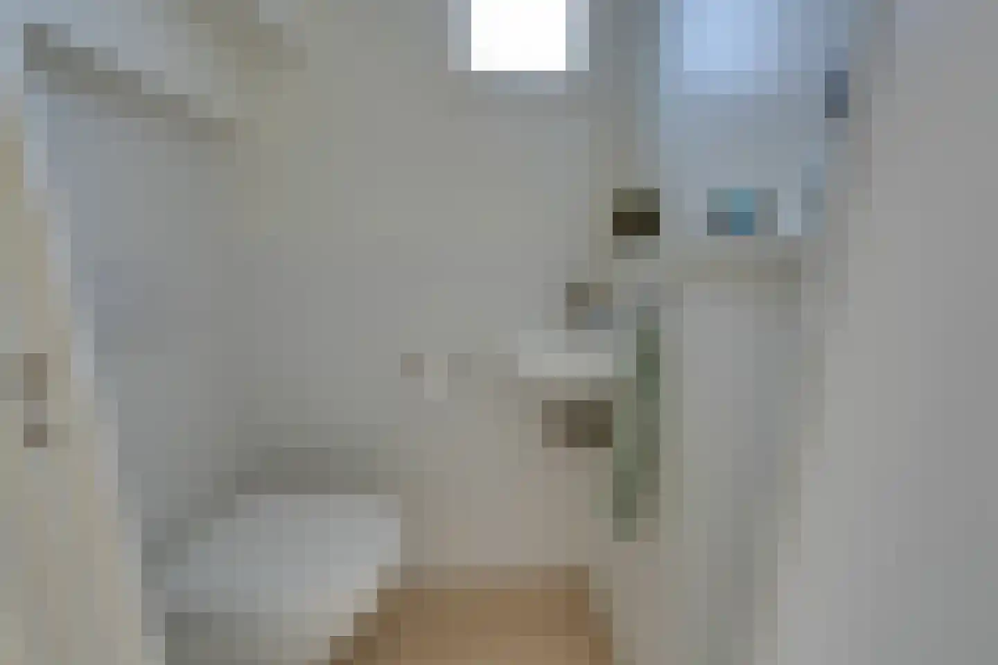 Jonkerlaantje 24 Edam thumbnail 43