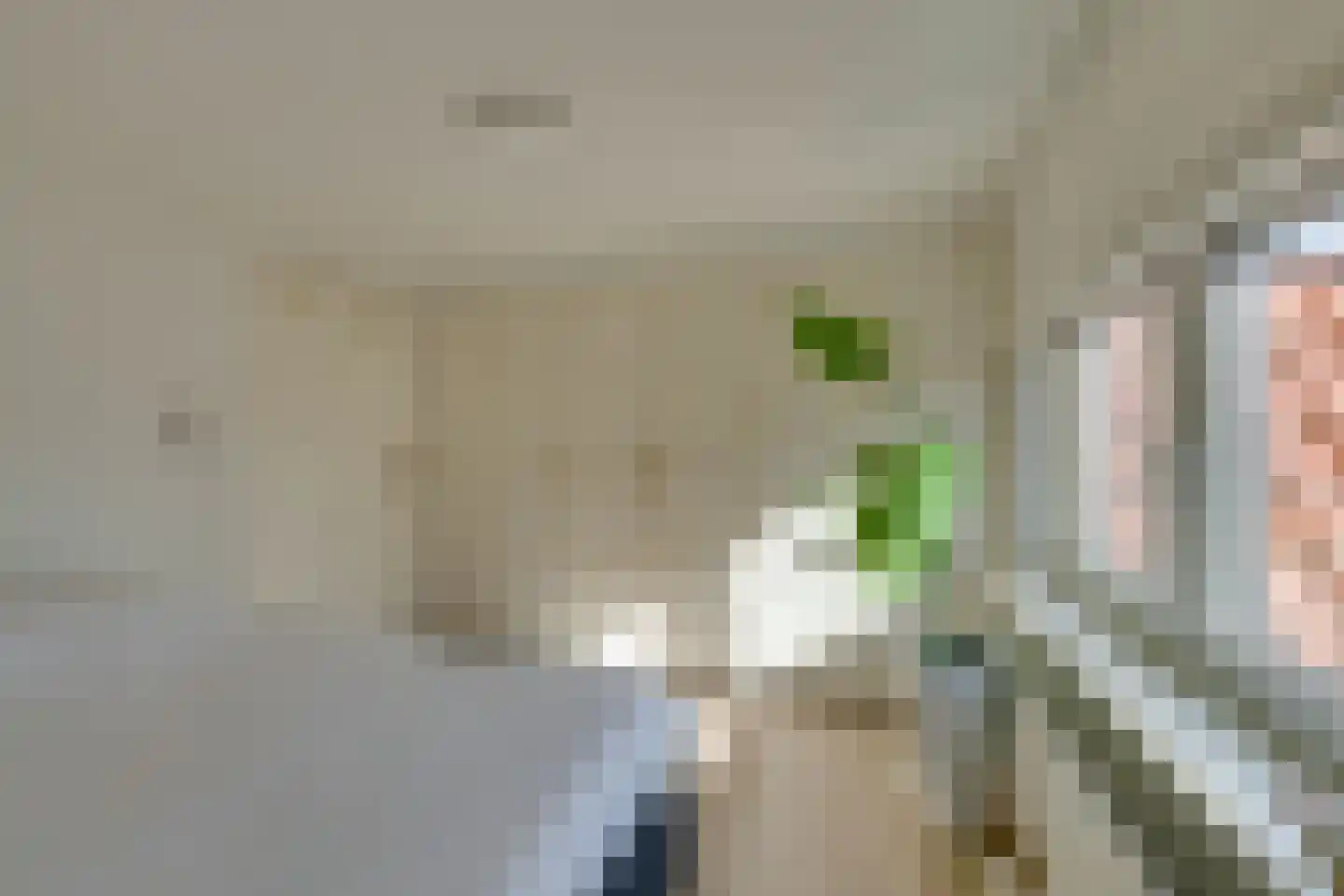 Jonkerlaantje 24 Edam thumbnail 47