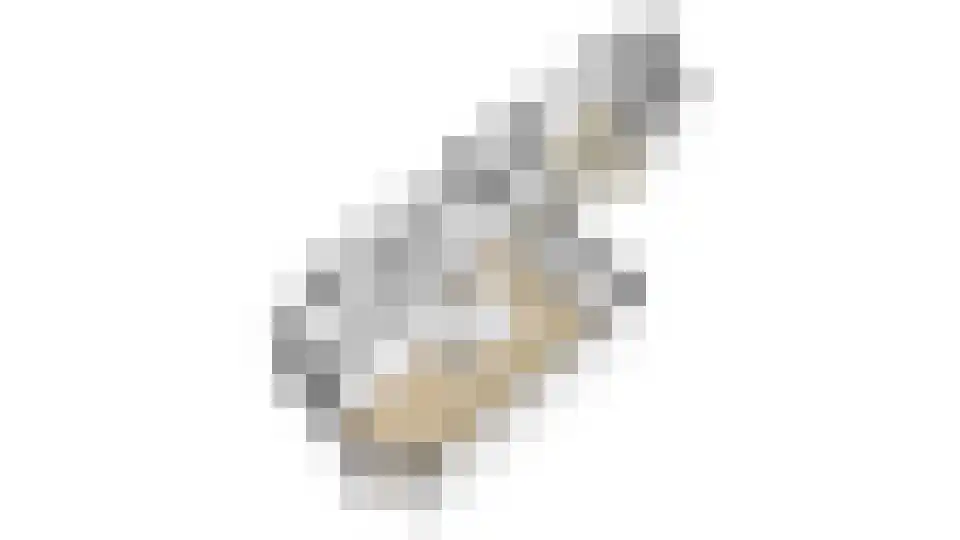 Jonkerlaantje 24 Edam thumbnail 62