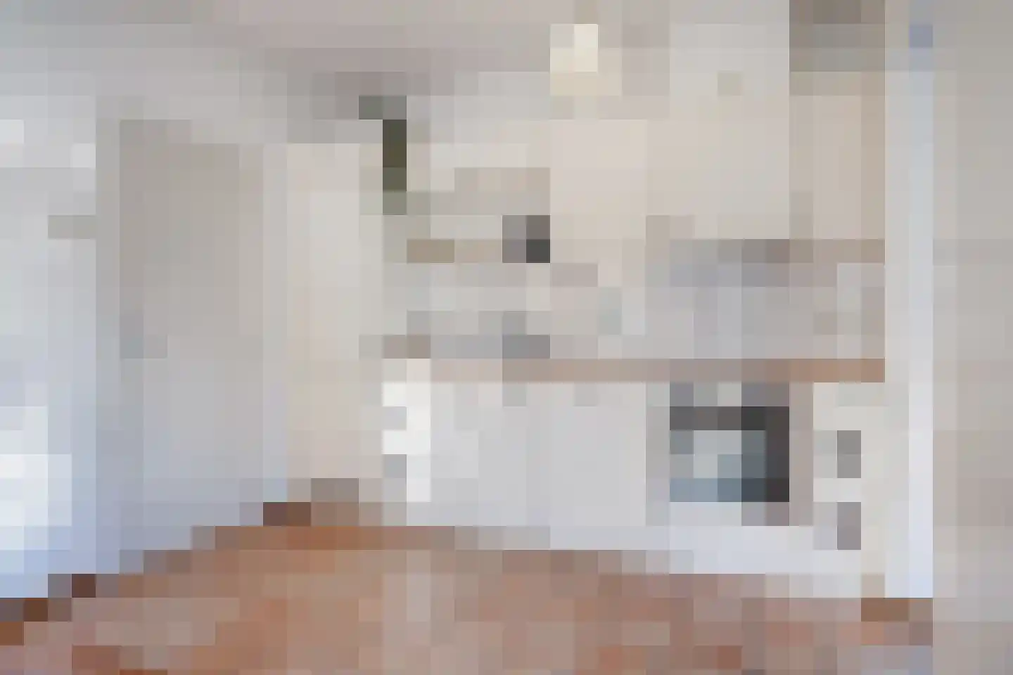 Jonkerlaantje 30 Edam thumbnail 19