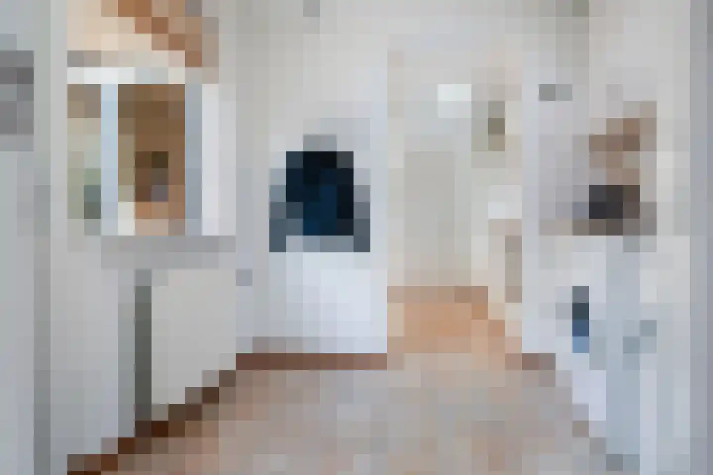 Jonkerlaantje 30 Edam thumbnail 21