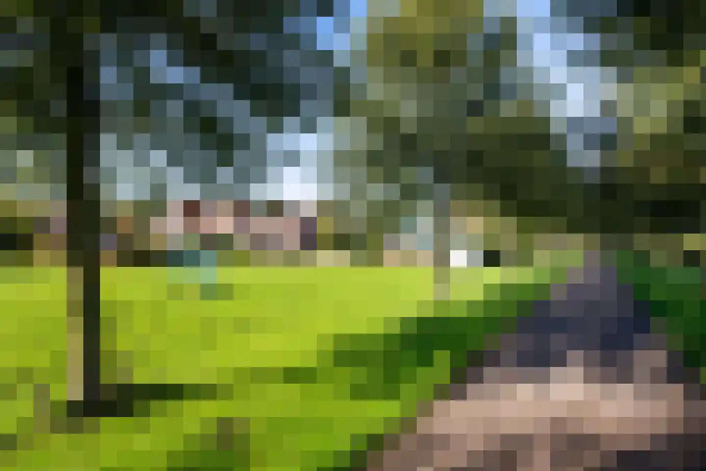 Jonkerlaantje 30 Edam thumbnail 59