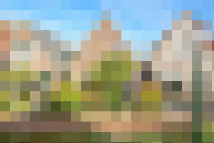 Jonkerlaantje 38 Edam thumbnail 10