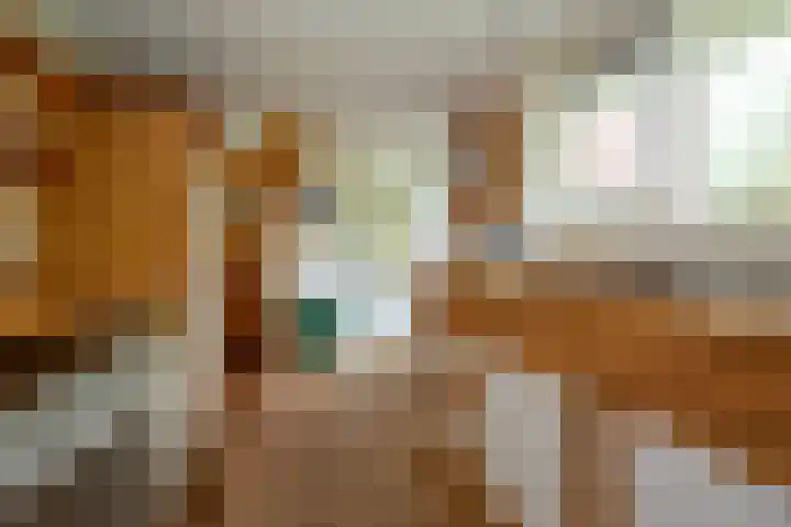 Jonkerlaantje 38 Edam thumbnail 22