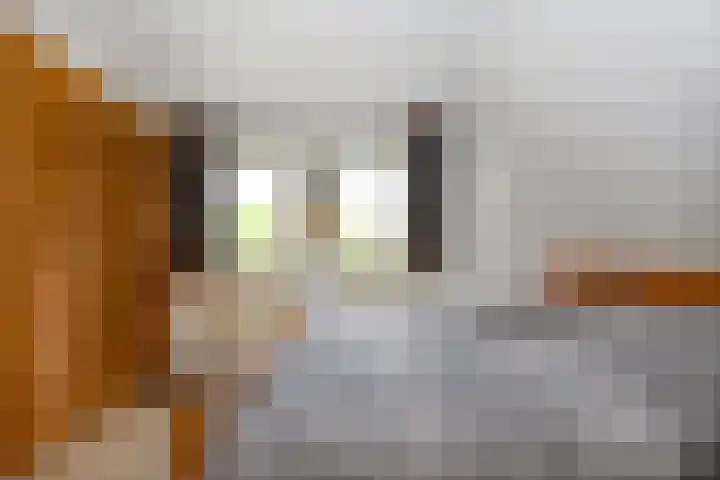 Jonkerlaantje 38 Edam thumbnail 27