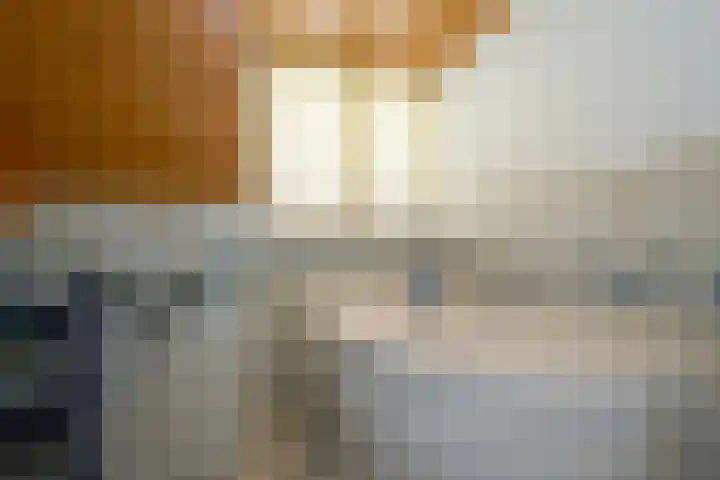 Jonkerlaantje 38 Edam thumbnail 30