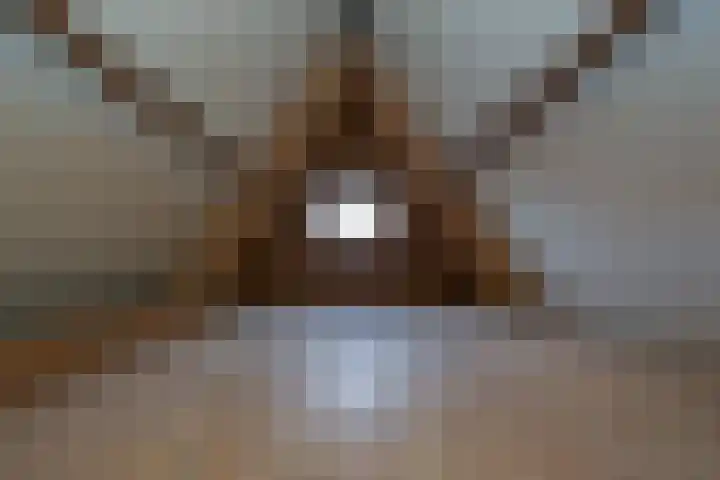 Jonkerlaantje 38 Edam thumbnail 41
