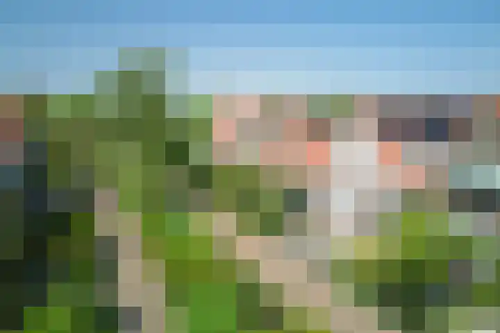 Jonkerlaantje 38 Edam thumbnail 8