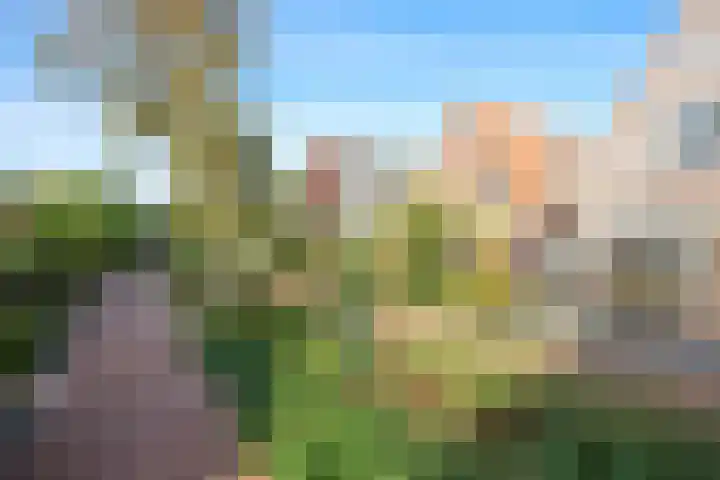 Jonkerlaantje 38 Edam thumbnail 9
