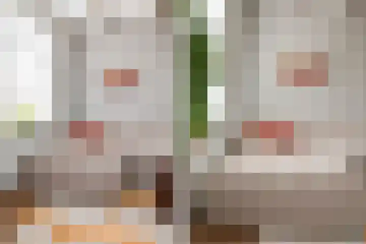 Jonkerlaantje 8 Edam thumbnail 10