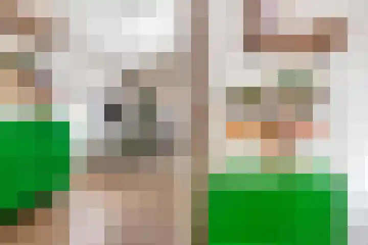Jonkerlaantje 8 Edam thumbnail 11