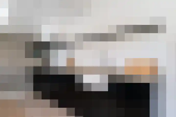 Jonkerlaantje 8 Edam thumbnail 12