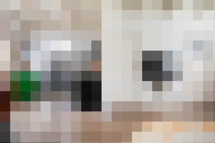 Jonkerlaantje 8 Edam thumbnail 14