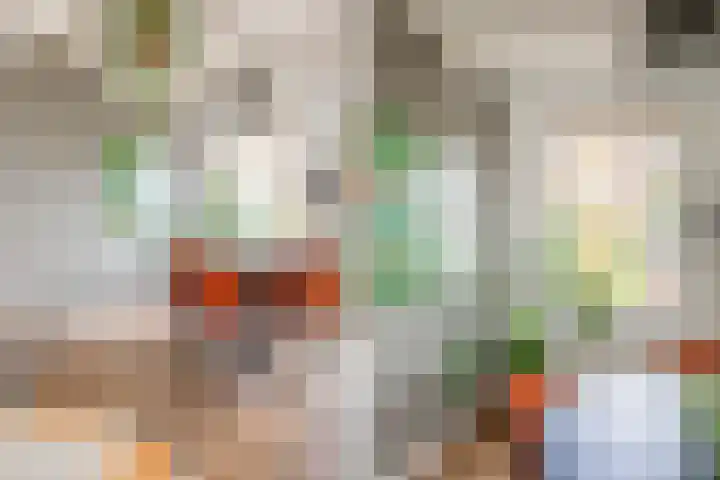 Jonkerlaantje 8 Edam thumbnail 15