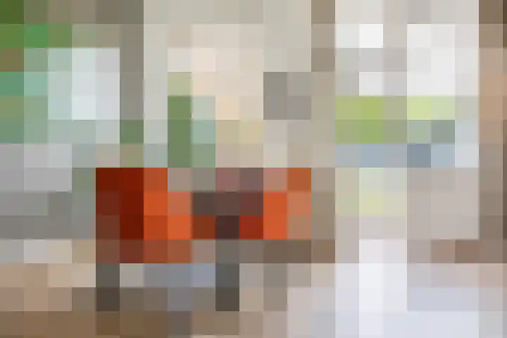Jonkerlaantje 8 Edam thumbnail 16