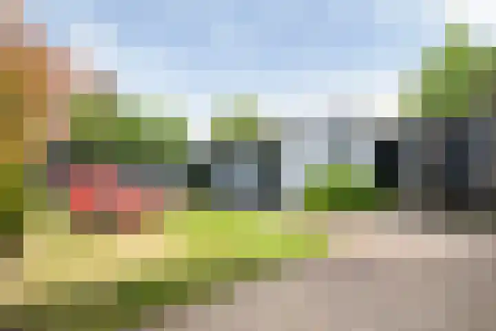 Jonkerlaantje 8 Edam thumbnail 17