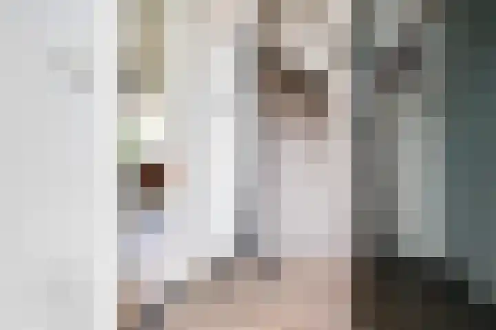 Jonkerlaantje 8 Edam thumbnail 18