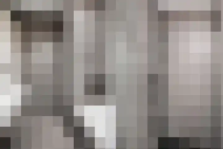 Jonkerlaantje 8 Edam thumbnail 20