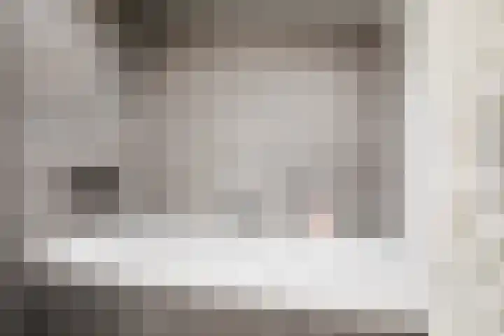 Jonkerlaantje 8 Edam thumbnail 21