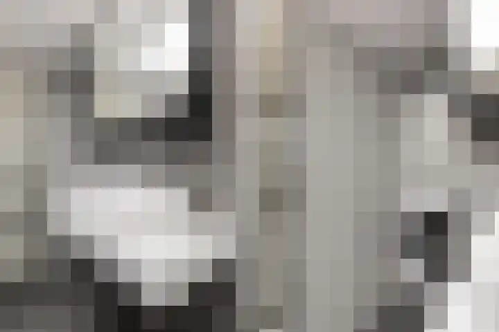 Jonkerlaantje 8 Edam thumbnail 22