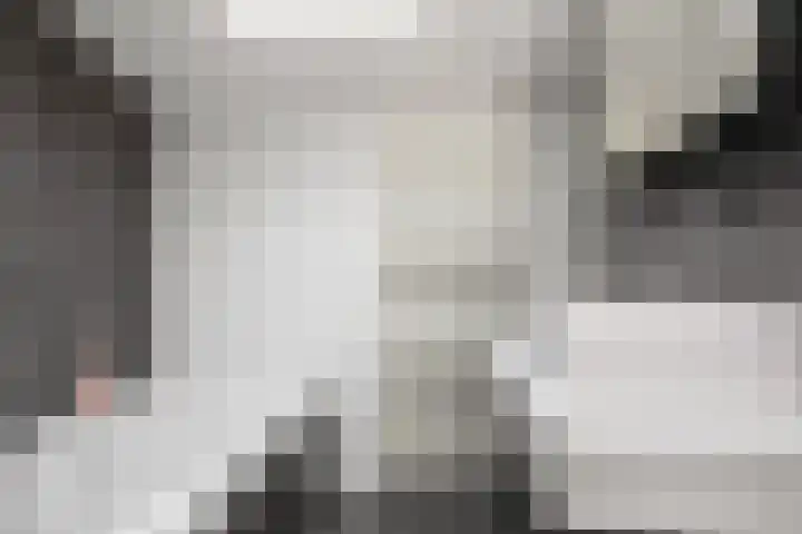 Jonkerlaantje 8 Edam thumbnail 23