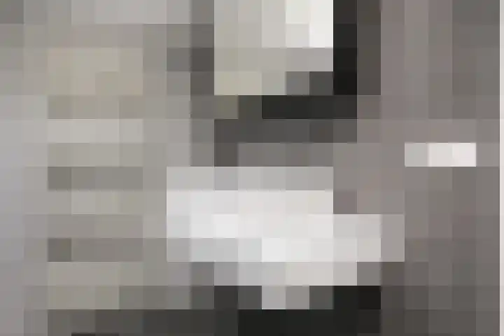 Jonkerlaantje 8 Edam thumbnail 24
