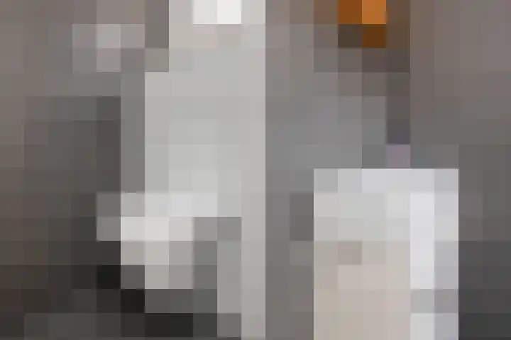 Jonkerlaantje 8 Edam thumbnail 26