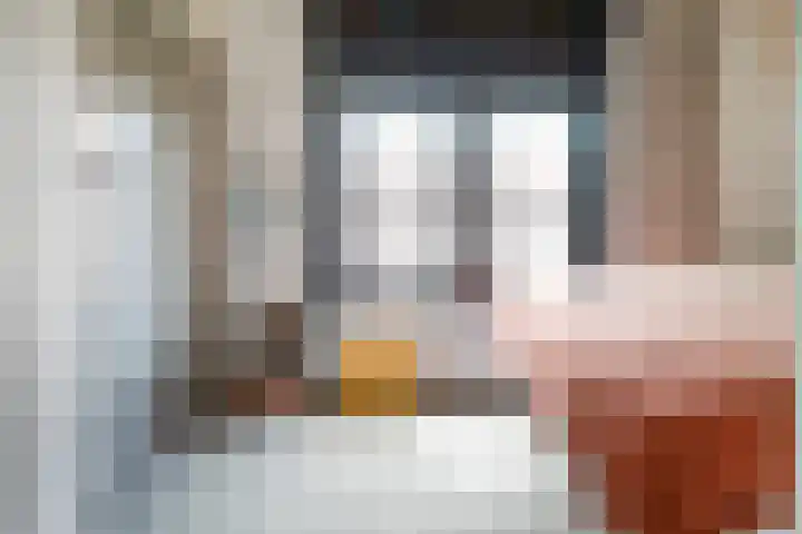 Jonkerlaantje 8 Edam thumbnail 28