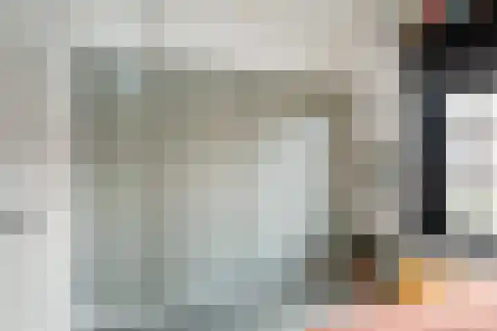 Jonkerlaantje 8 Edam thumbnail 29