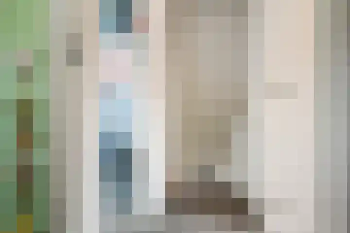 Jonkerlaantje 8 Edam thumbnail 31