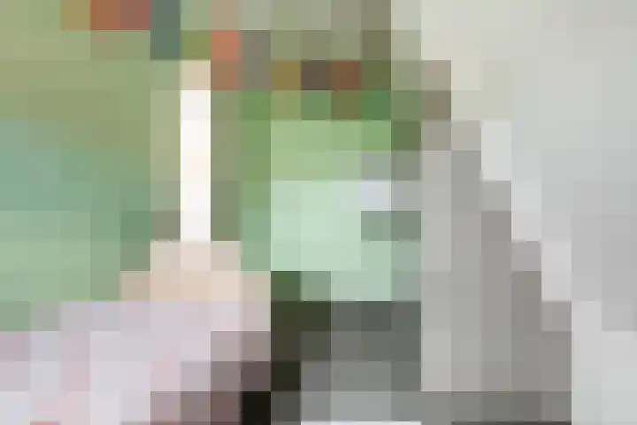 Jonkerlaantje 8 Edam thumbnail 32