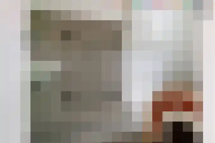 Jonkerlaantje 8 Edam thumbnail 34