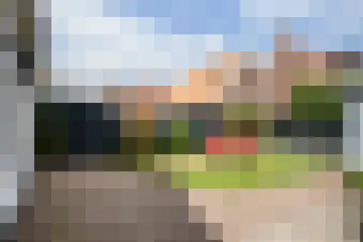 Jonkerlaantje 8 Edam thumbnail 39