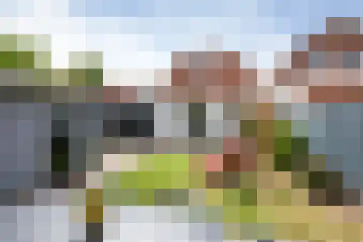 Jonkerlaantje 8 Edam thumbnail 40
