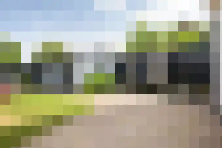 Jonkerlaantje 8 Edam thumbnail 42