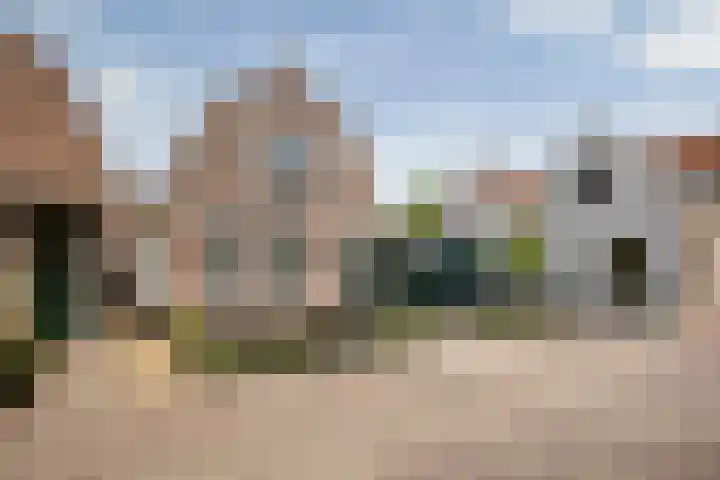 Jonkerlaantje 8 Edam thumbnail 45