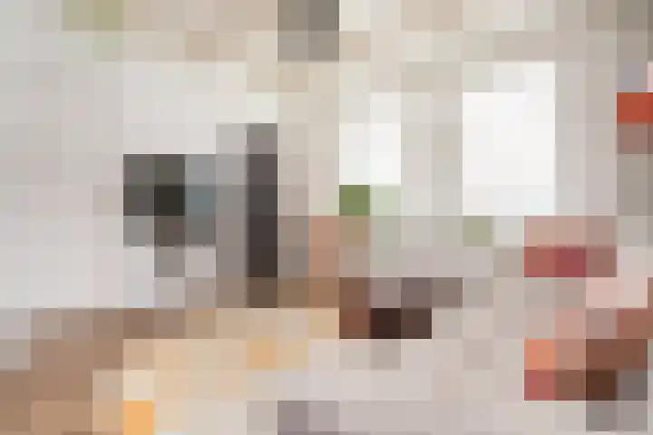Jonkerlaantje 8 Edam thumbnail 7