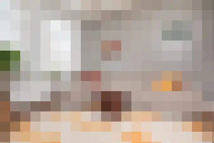 Jonkerlaantje 8 Edam thumbnail 8