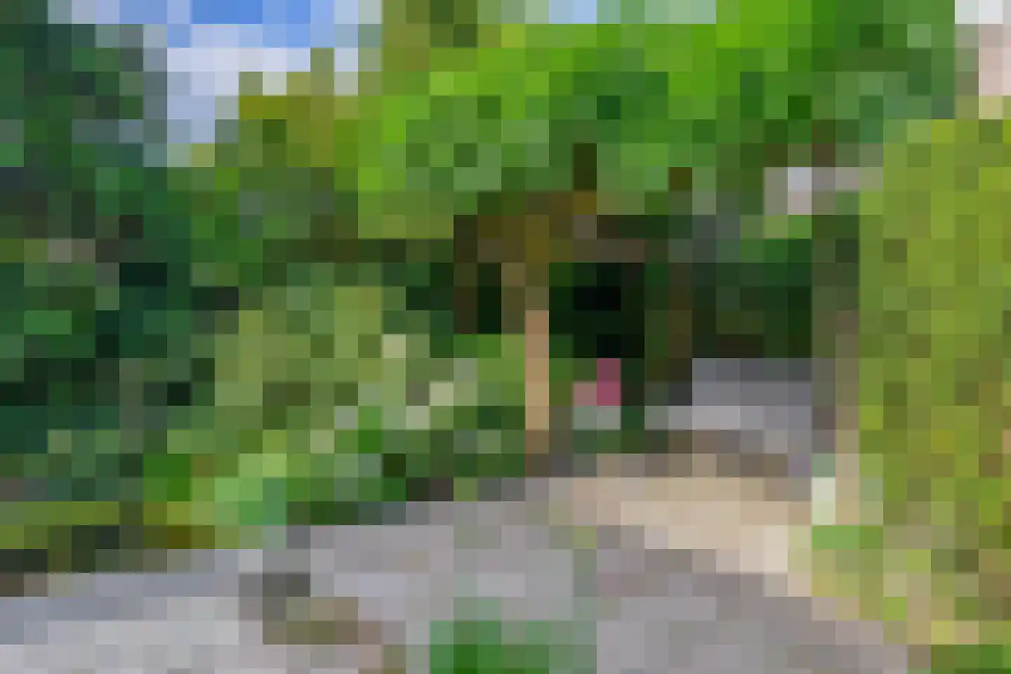 Jonkerplantsoen 13 Zaandam thumbnail 16