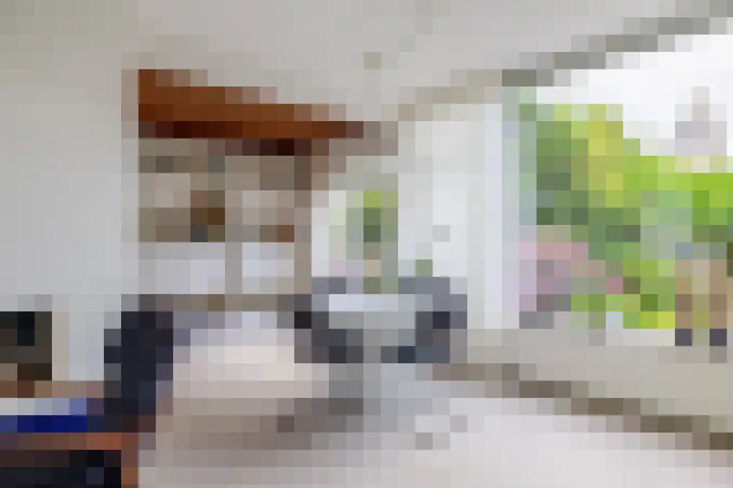 Jonkerplantsoen 13 Zaandam thumbnail 9